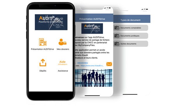Les applications Audit Drive sur un écran mobile