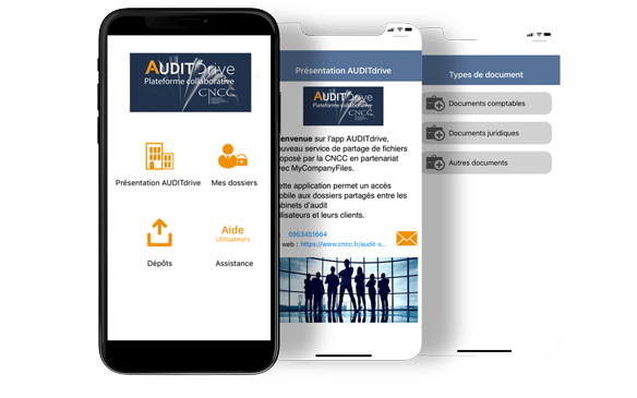 appli-audit-drive Les applications Audit Drive sur un écran mobile