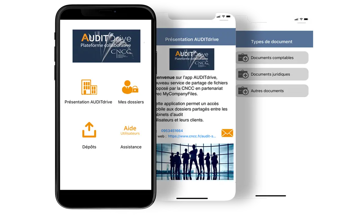 Les applications Audit Drive sur un écran mobile